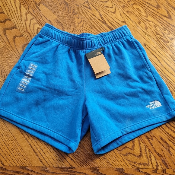 The North Face Pants - NWT Women's The North Face Evolution Sweat Shorts Size Large Relaxed Fit